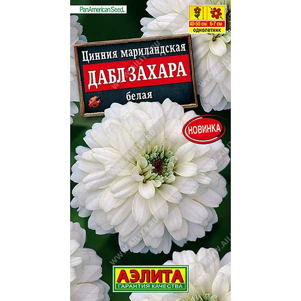 Циния Дабл Захара белая Аэлита Ц