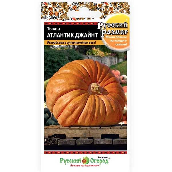 Тыква Атлантик джайн НК Ц