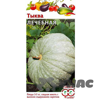 Тыква Лечебная Гавриш Ц