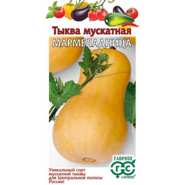 Тыква Мармеладница Гавриш Ц