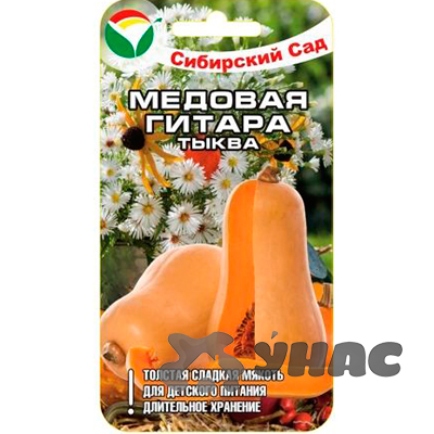 Тыква Медовая гитара СибСад Ц