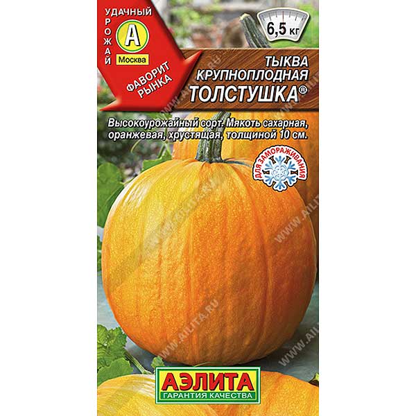 Тыква Толстушка Аэлита Ц