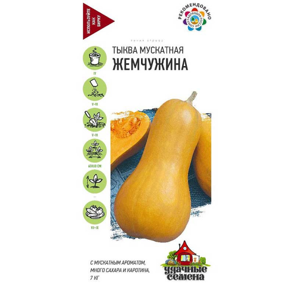 Тыква Жемчужина мускатная Удач семена Гавриш Ц