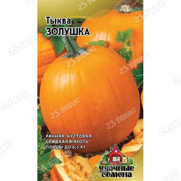 Тыква Золушка Удачные семена Гавриш Ц