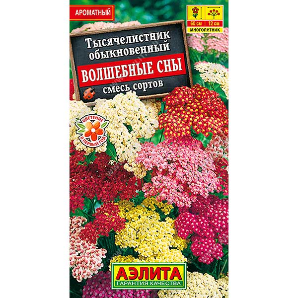 Тысячелистник Волшебные сны Аэлита Ц