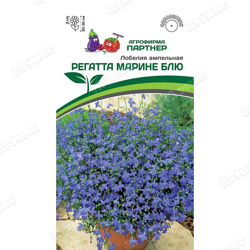 Лобелия Регатта Марине Блю Партнер Ц