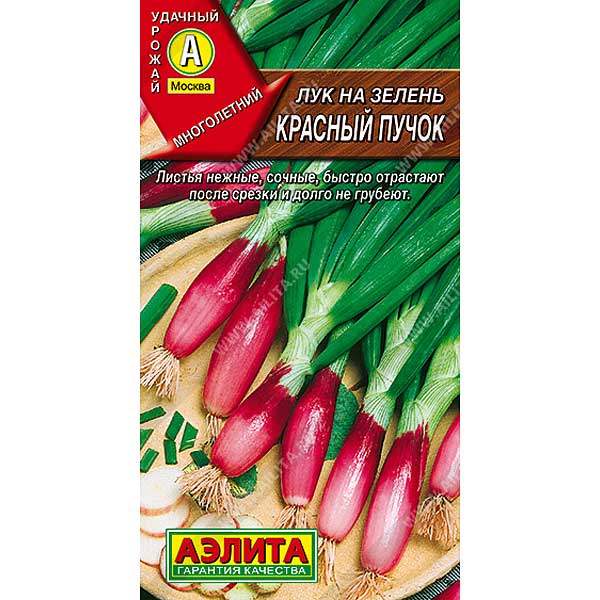 Лук на зелень Красный пучок Аэлита Ц