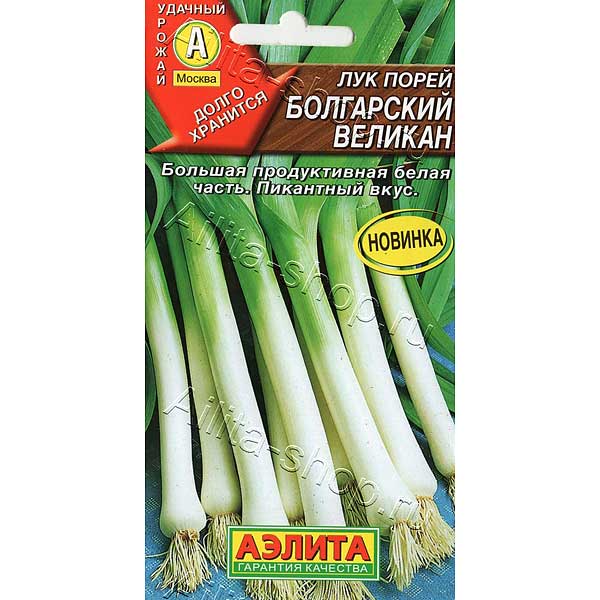 Лук порей Болгарский великан Аэлита Ц