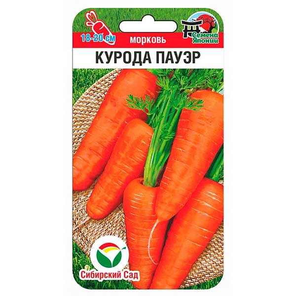 Морковь Курода Пауэр СибСад Ц
