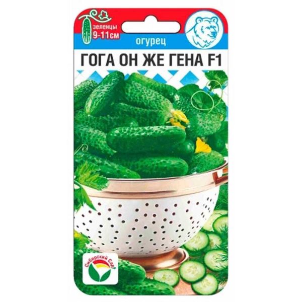 Огурец Гога он же Гена СибСад Ц