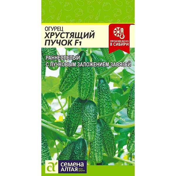 Огурец Хрустящий пучок СемАлт Ц