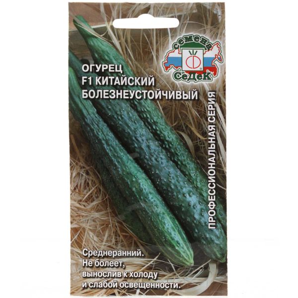 Огурец Китайский болезнеустойчивый Седек Ц
