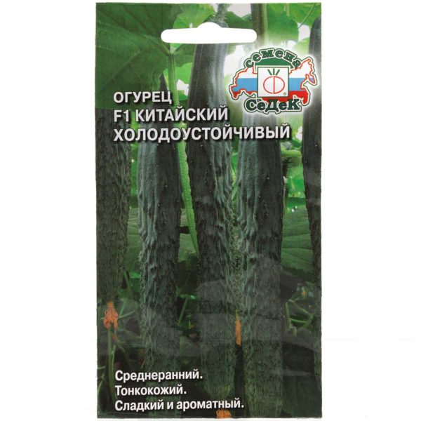 Огурец Китайский холодоустойчивый Седек Ц