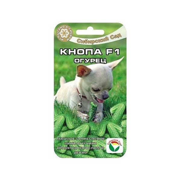 Огурец Кнопа СибСад Ц