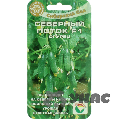 Огурец Северный Поток СибСад Ц