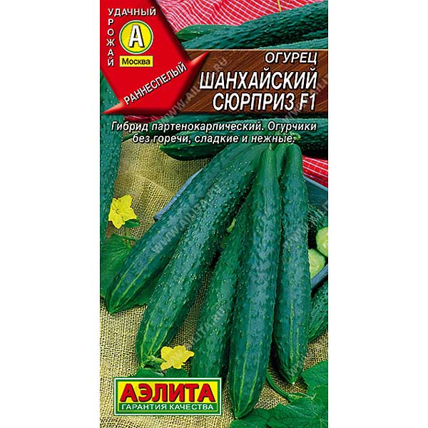 Огурец Шанхайский сюрприз Аэлита Ц