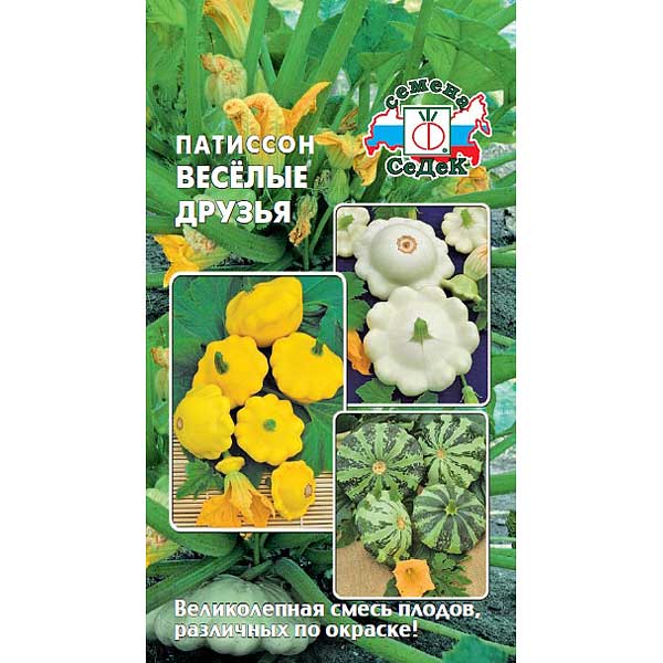 Патиссон Веселые друзья Седек Ц