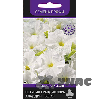 Петуния Аладдин Белая гранд. Поиск Ц