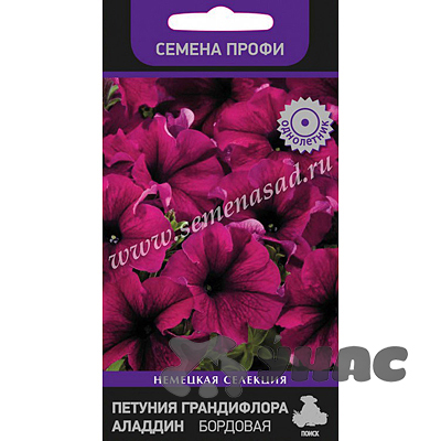 Петуния Аладдин Бордовая гранд. Поиск Ц