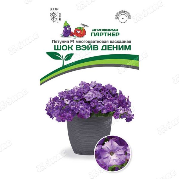 Петуния Шок Вэйв Деним Партнер