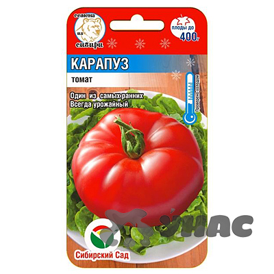 Томат Карапуз СибСад Ц