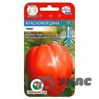 Томат Красномордина СибСад Ц