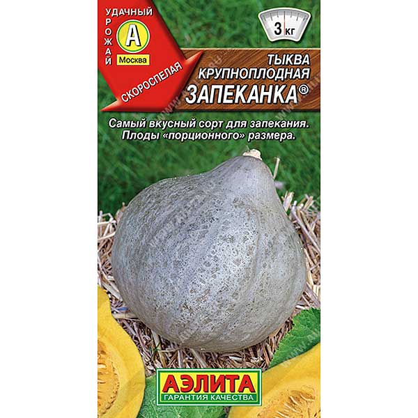 Тыква Запеканка Аэлита Ц