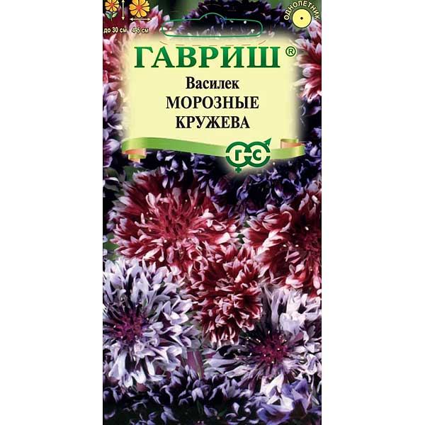 Василек Морозные кружева Гавриш Ц