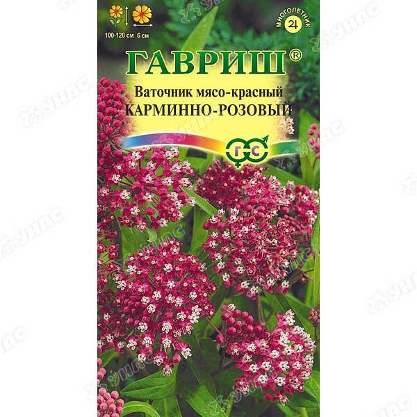 Ваточник Карминно-розовый Гавриш Ц