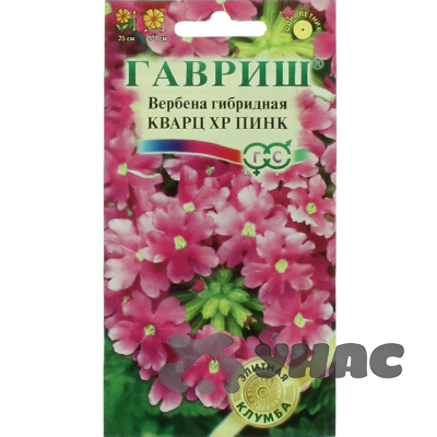 Вербена Гибридная Кварц ХР Пинк Гавриш Ц