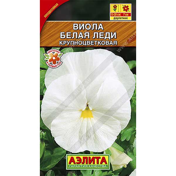 Виола Белая леди Аэлита Ц