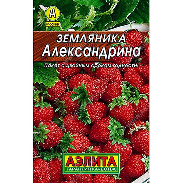 Земляника Александрина «Лидер» Аэлита Ц